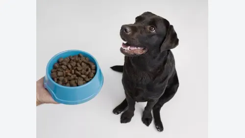 Alimentos para el mes