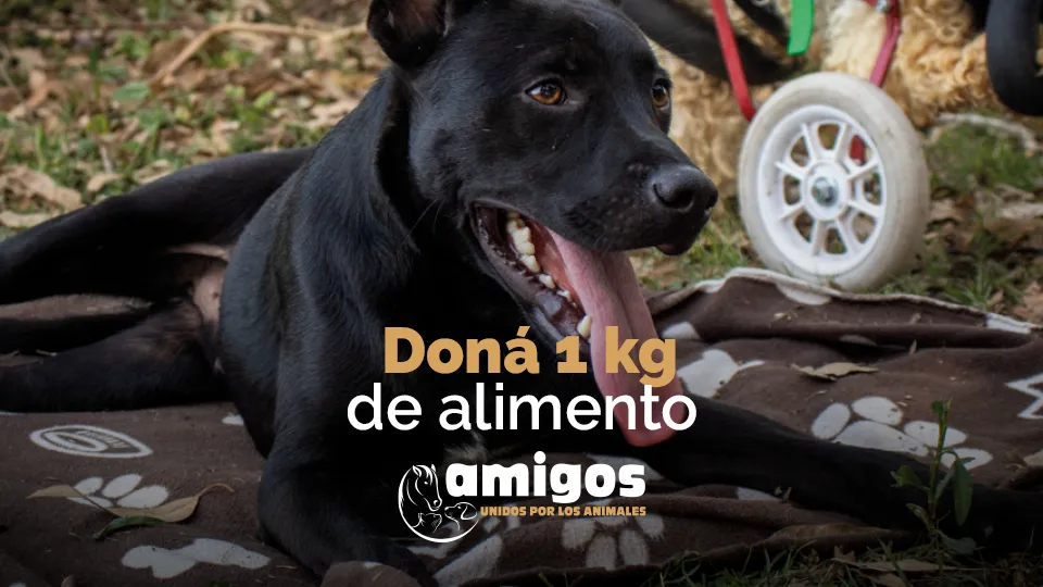 Doná 1 kilo de alimento