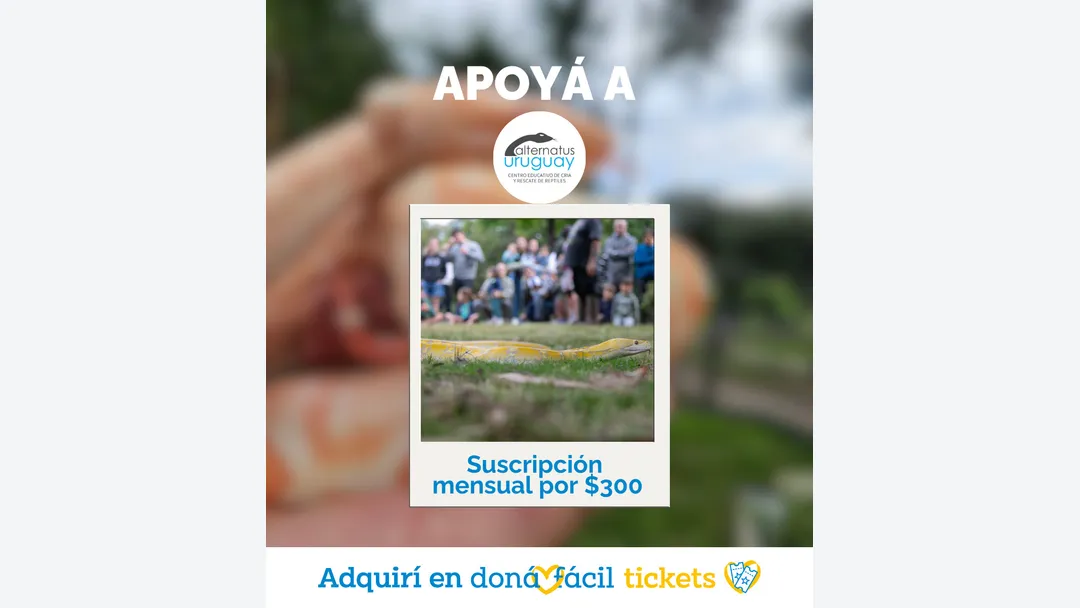 Suscripción Mensual $300