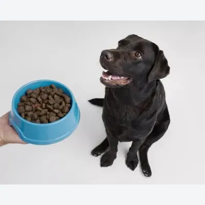 Alimentos para el mes