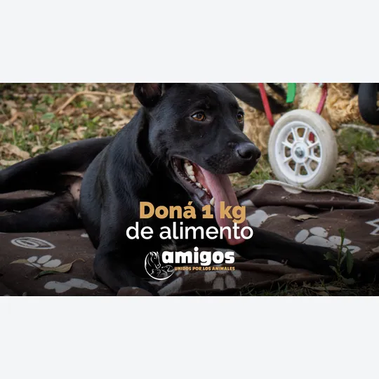 Doná 1 kilo de alimento