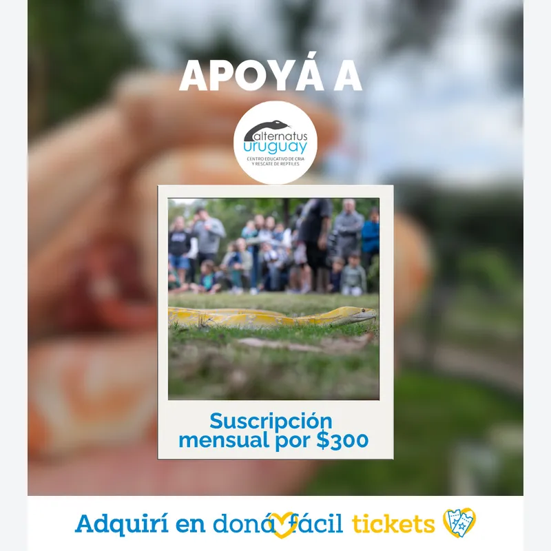 Suscripción Mensual $300