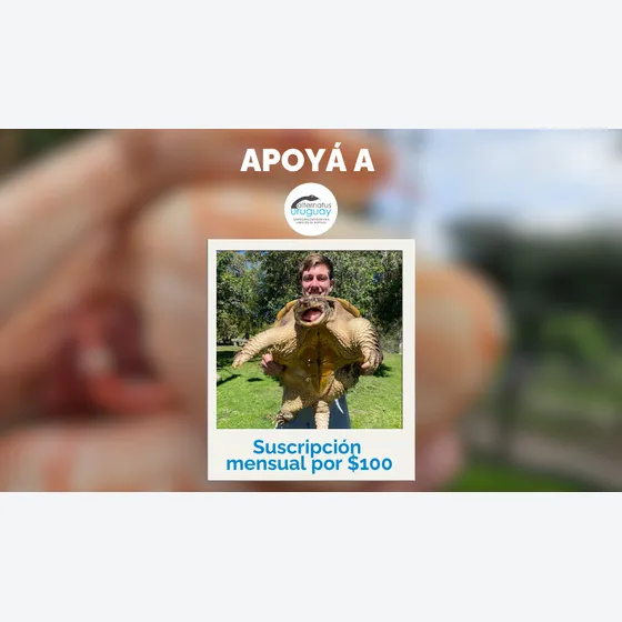 Suscripción Mensual $100