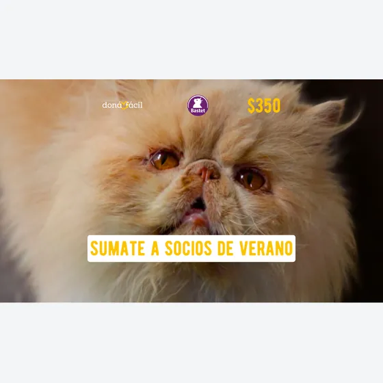 Socios de verano - Bastet - $350