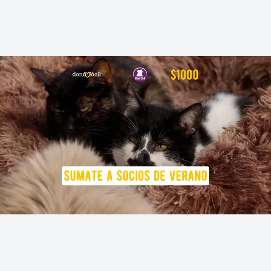 Socios de verano - Bastet - $1000