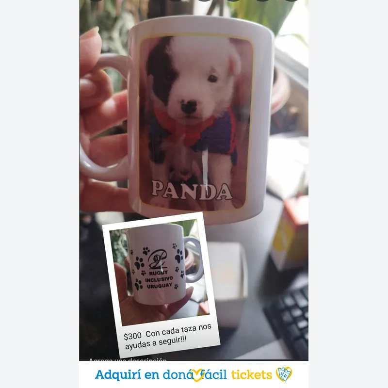Tazas Personalizadas/ Fotos de Nuestros Rescatados y el logo de Rugby Inclusivo Uruguay Bichero