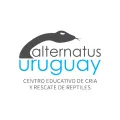 Logo de ALTERNATUS URUGUAY