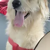 Imagen de campaña: ¡Ayúdanos a seguir haciendo la diferencia!