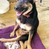 Imagen de campaña: Restaurando salud y libertad: apoyá la recuperación de Atila y Eduardito