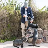 Imagen de campaña: Tu ayuda hoy salva vidas marinas Imagen de campaña: Tu ayuda hoy salva vidas marinas