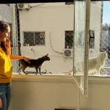 Imagen de campaña: Burakeras Asistencia Gatuna te necesita