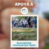 Imagen de ticket: Suscripción Mensual $300 Imagen de ticket: Suscripción Mensual $300