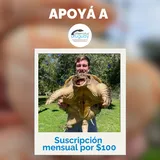 Imagen de ticket: Suscripción Mensual $100