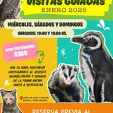 Imagen de ticket: Visitas guiadas