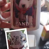 Imagen de ticket: Tazas Personalizadas/ Fotos de Nuestros Rescatados y el logo de Rugby Inclusivo Uruguay Bichero Imagen de ticket: Tazas Personalizadas/ Fotos de Nuestros Rescatados y el logo de Rugby Inclusivo Uruguay Bichero