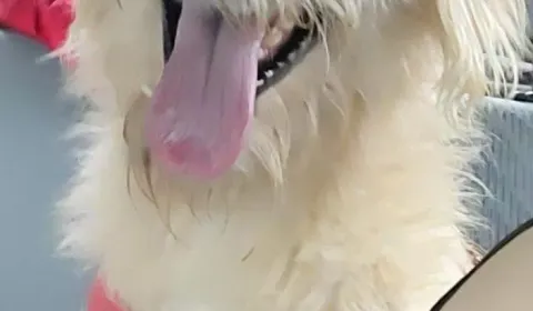 ¡Ayúdanos a seguir haciendo la diferencia!