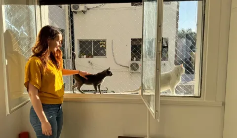 Burakeras Asistencia Gatuna te necesita