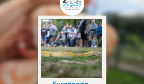 Suscripción Mensual $300 Suscripción Mensual $300