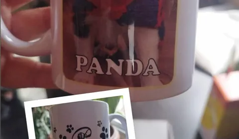 Tazas Personalizadas/ Fotos de Nuestros Rescatados y el logo de Rugby Inclusivo Uruguay Bichero