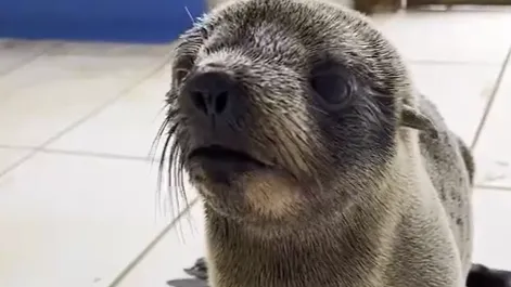 Como la educación y la investigación pueden impulsar la conservación de la biodiversidad