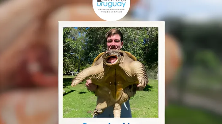 Reptiles en la naturaleza y nuestra responsabilidad