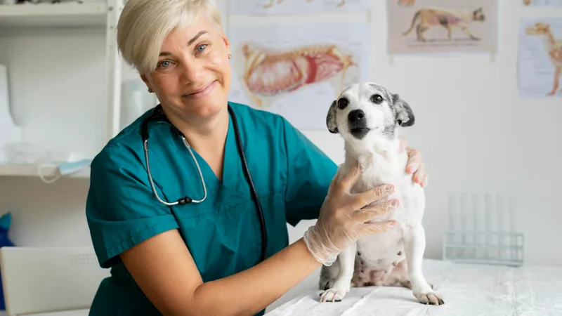 El rol de la comunidad en el bienestar animal: salvar vidas con amor y solidaridad