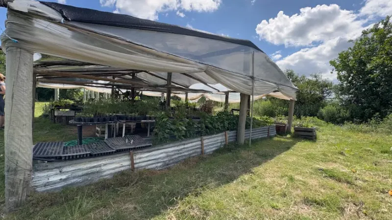 La importancia de la contención aocioafectiva en la rehabilitación