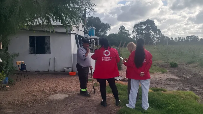 El Poder de la Solidaridad: Cómo Pequeñas Acciones Generan Grandes Cambios